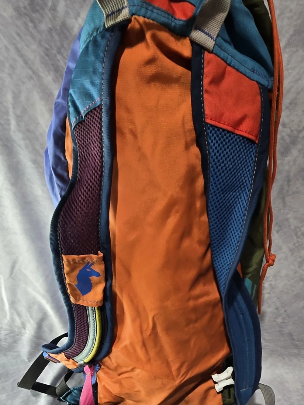 Cotopaxi Luzon 24L Del Día backpack
